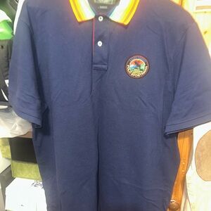 Ralph Lauren Navy Polo with Colorful Collar